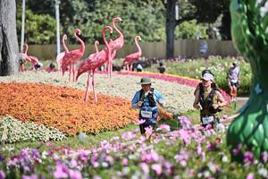 BIB: 
                            <button type="button" onclick="openModal(27793707)" class="btn btn-primary btn-sm float-right btn-popup" data-toggle="modal" data-target=".modal-high-quality">
                        <i class="fas fa-shopping-cart"></i> Add to Cart
                    </button>
                                            <button type="button" onclick="isThisMe(27793707, true)" class="btn btn-success btn-sm float-right btn-popup btn-isme hidden" data-toggle="tooltip" data-placement="bottom" title="นี่คือรูปของคุณใช่ไหม คลิกที่นี่เพื่อเอาเข้าอัลบั้ม">
                        <i class="fas fa-plus"></i> Add to album
                    </button>
                    <button type="button" onclick="isThisMe(27793707, false)" class="btn btn-warning btn-sm float-right btn-popup btn-isnotme hidden">
                        <i class="fas fa-ban"></i> Remove from album
                    </button>